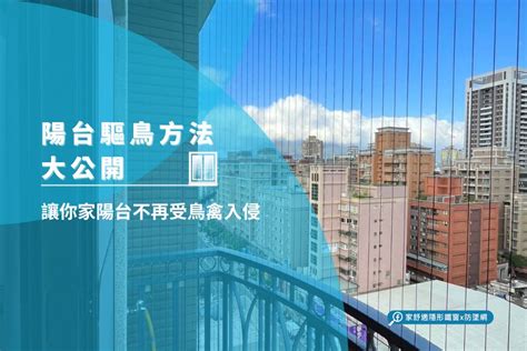 陽台有鳥風水|【陽台有鳥風水】5大驅鳥方法不藏私公開 